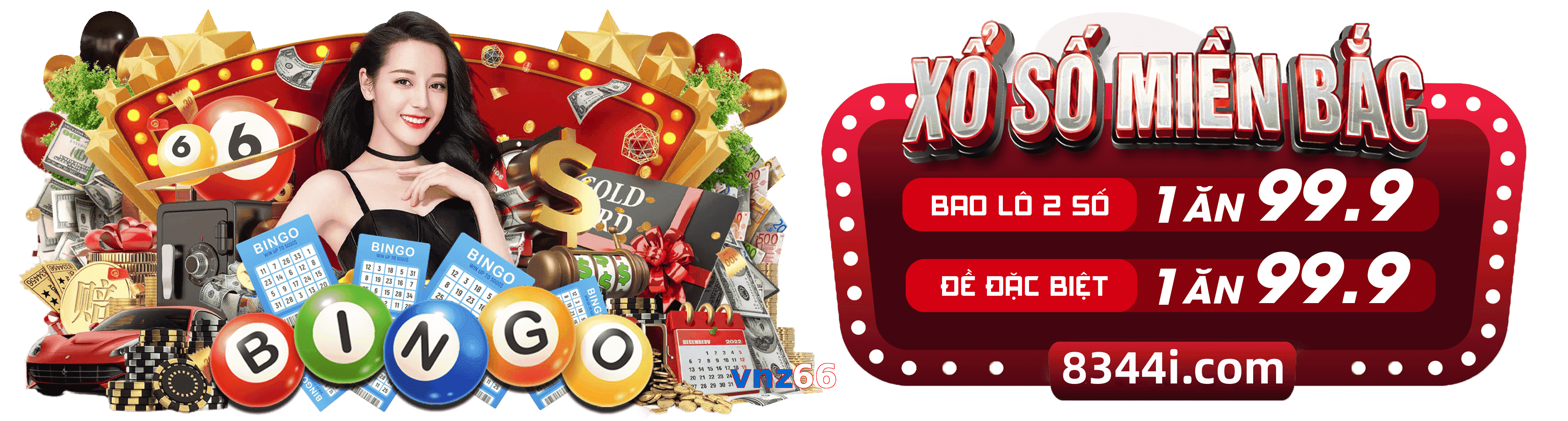 vnz66