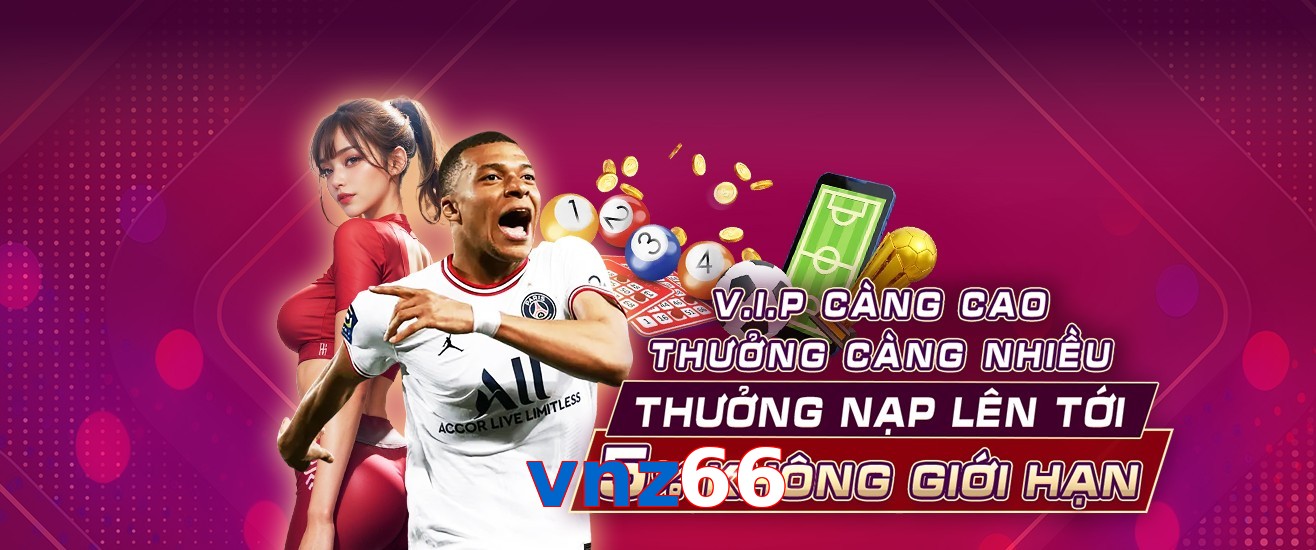 vnz66
